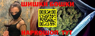 прущие грибы Владивосток