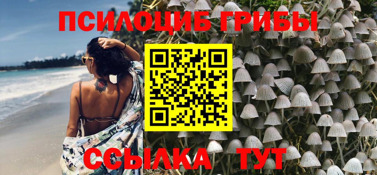 Галлюциногенные грибы мухоморы  Вход с VPN  Галлюциногенные грибы Magic Shrooms  Выкса 